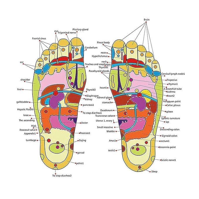 Natural Foot Slippers Massager - Auto Furnish